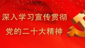  扎實推進全面從嚴治黨工作確保全年目標任務(wù)完美收官